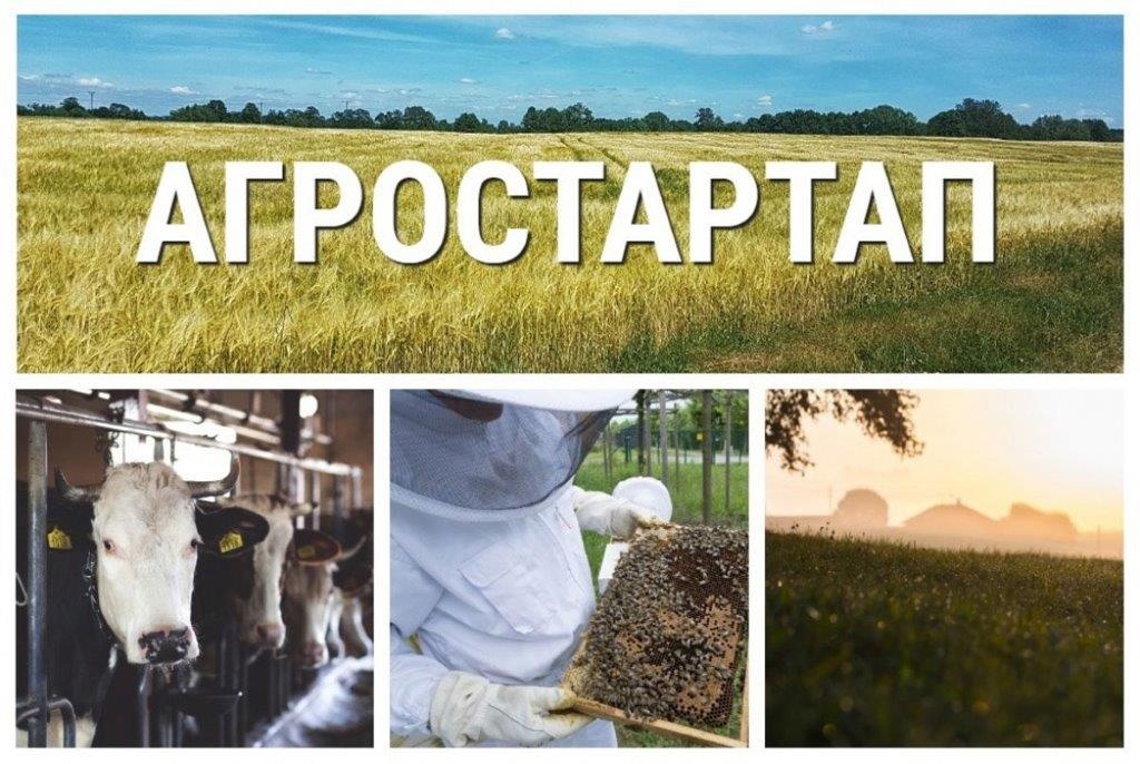 О проведении отбора получателей грантов «Агростартап».