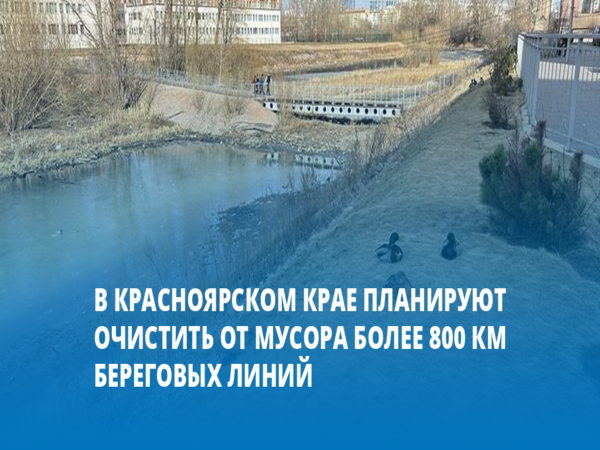 В Минэкологии края стартовал прием заявок на участие в акциях по наведению порядка на берегах водоемов.