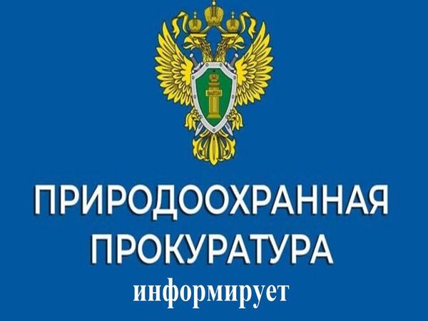 «Красноярская природоохранная прокуратуру информирует».