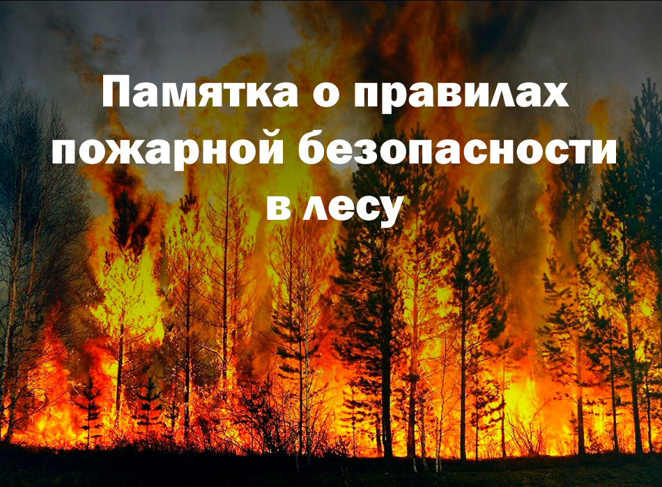 Напоминаем о важности соблюдения правил пожарной безопасности в лесах Берёзовского района.