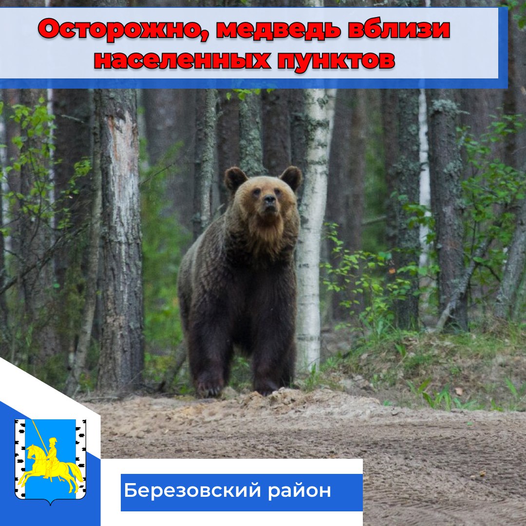 Внимание! Жители и гости Березовского района! БУДЬТЕ ОСТОРОЖНЫ!.