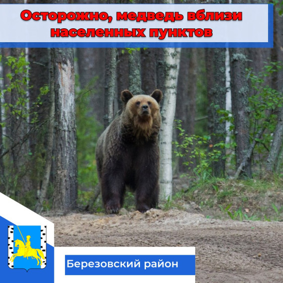 Внимание! Жители и гости Березовского района! БУДЬТЕ ОСТОРОЖНЫ!. Внимание! Жители и гости Березовского района! БУДЬТЕ ОСТОРОЖНЫ!.