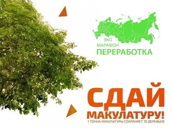 Сдай макулатуру – спаси дерево!. Сдай макулатуру – спаси дерево!.